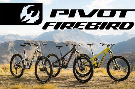 Pivot Firebird